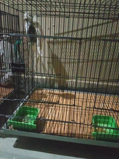 for sale