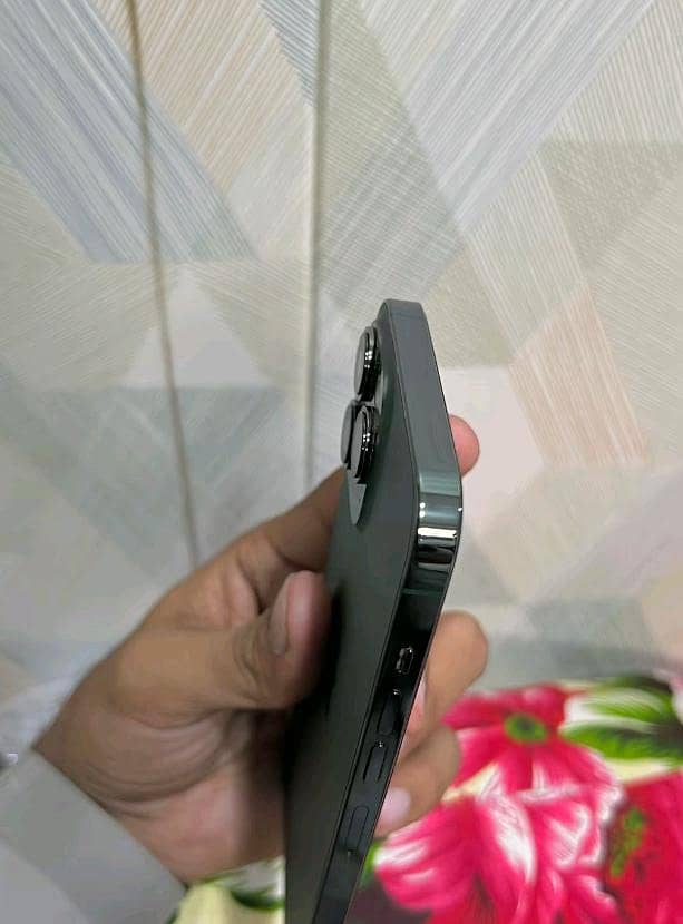 Apple iPhone 13 Pro Max 1
