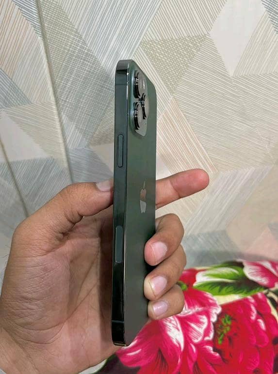 Apple iPhone 13 Pro Max 2