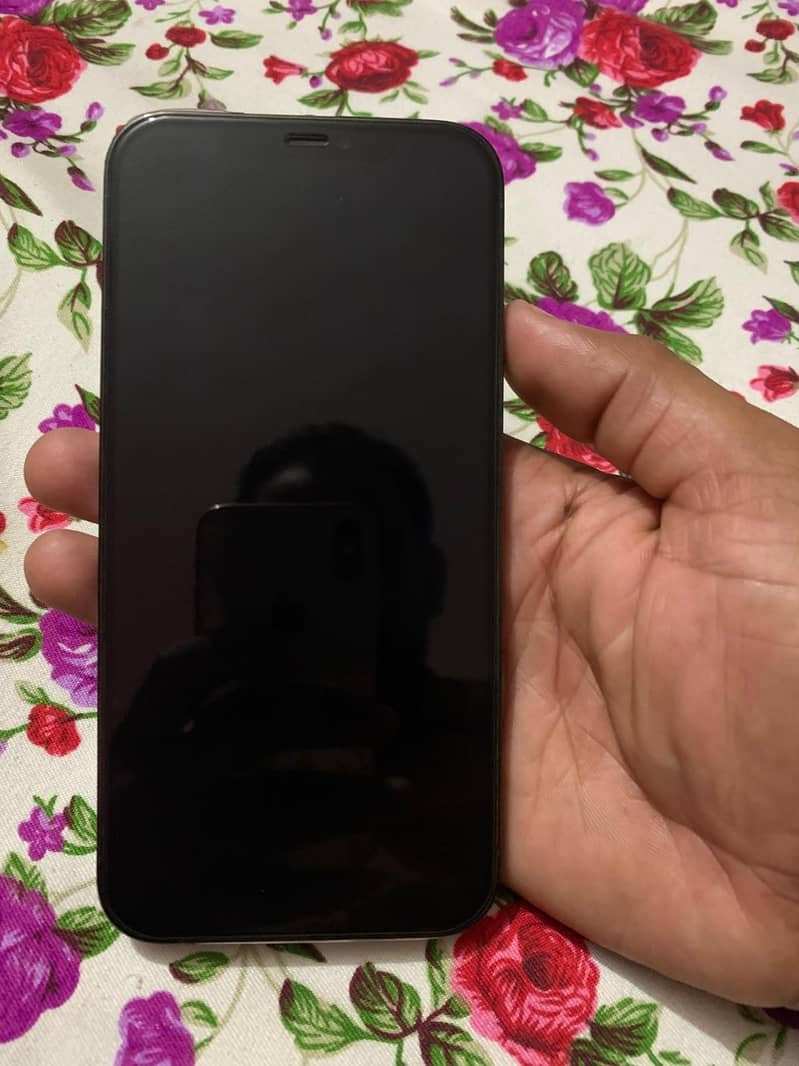 Apple iPhone 12 Pro Max 2