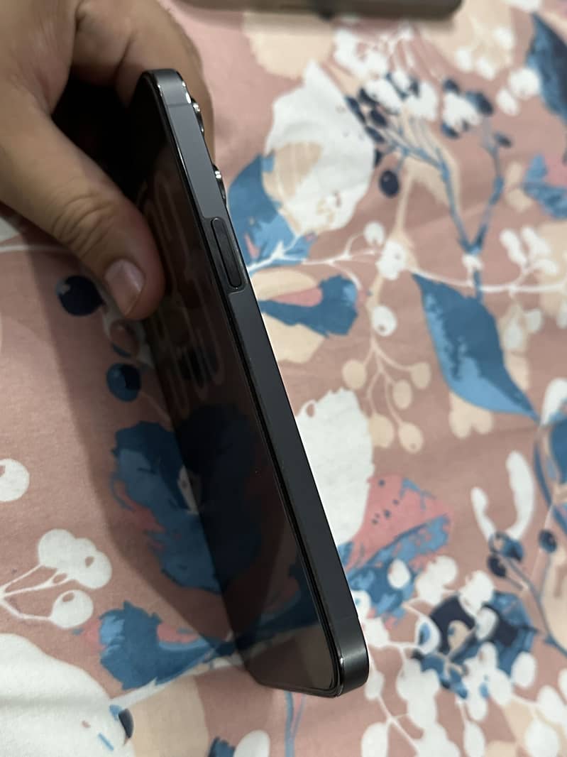 Apple iPhone 14 Pro Max 1