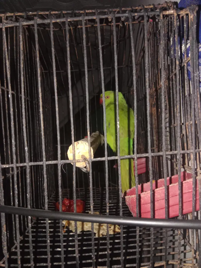 male ur gaya h — photo 4