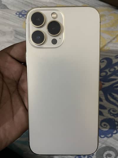 Apple iPhone 13 Pro Max