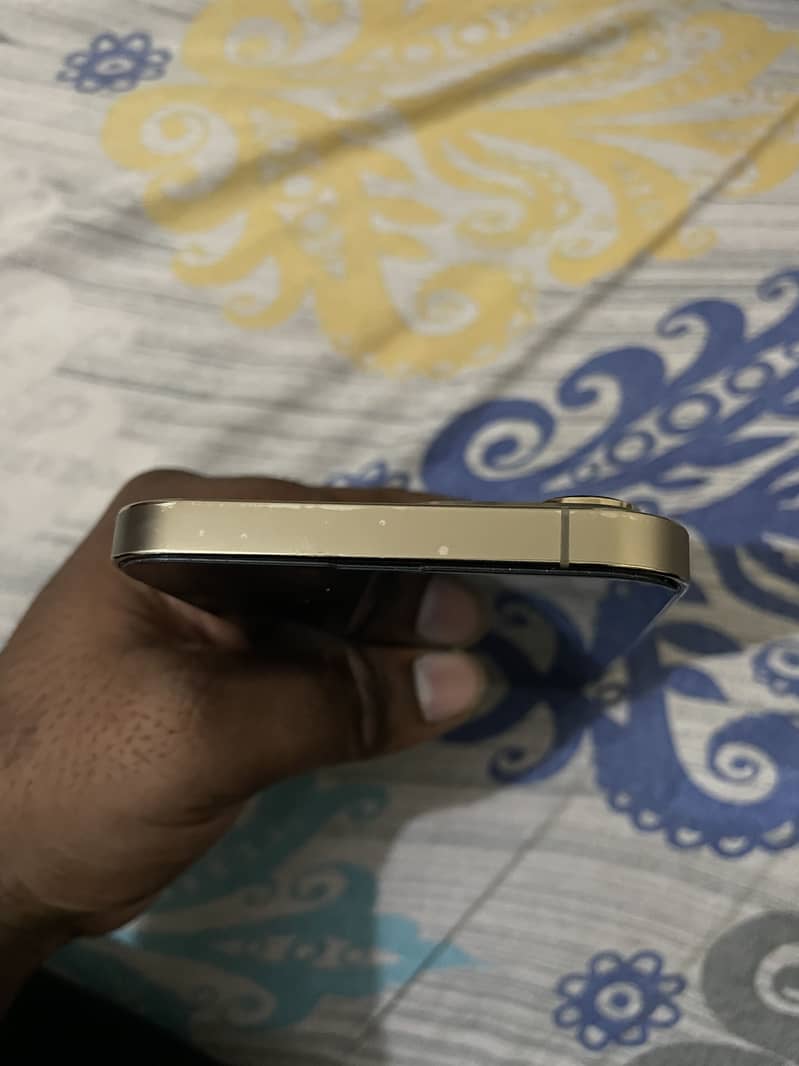 Apple iPhone 13 Pro Max 2