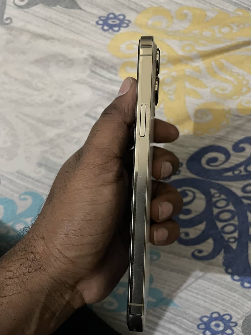 Apple iPhone 13 Pro Max 3
