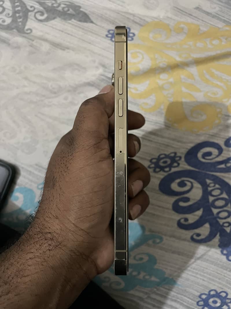 Apple iPhone 13 Pro Max 4