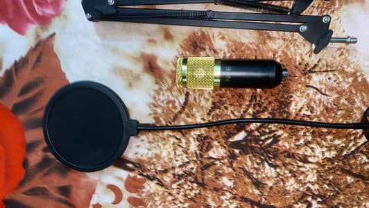 BM 800 Condenser Mic