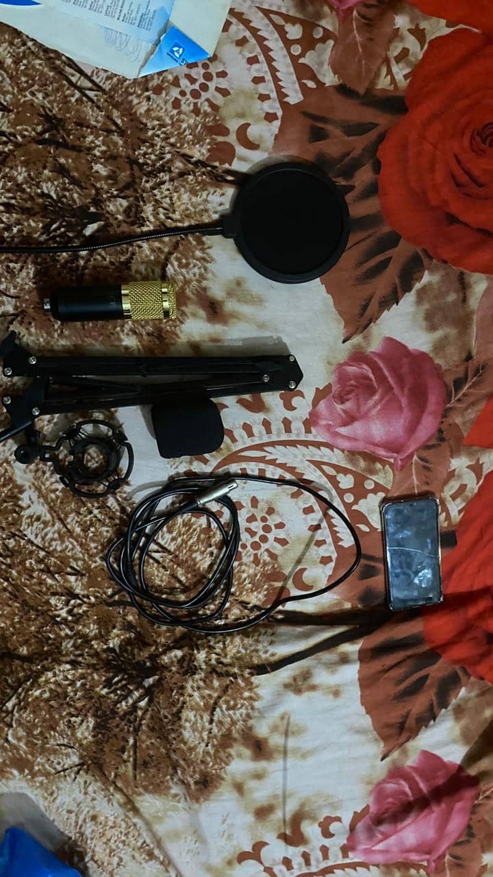 BM 800 Condenser Mic 1