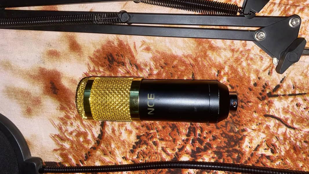 BM 800 Condenser Mic 2