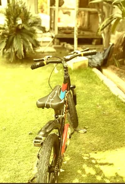 cycle for sale