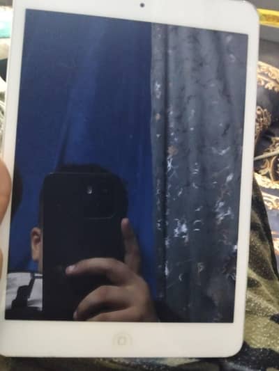 ipad mini 2