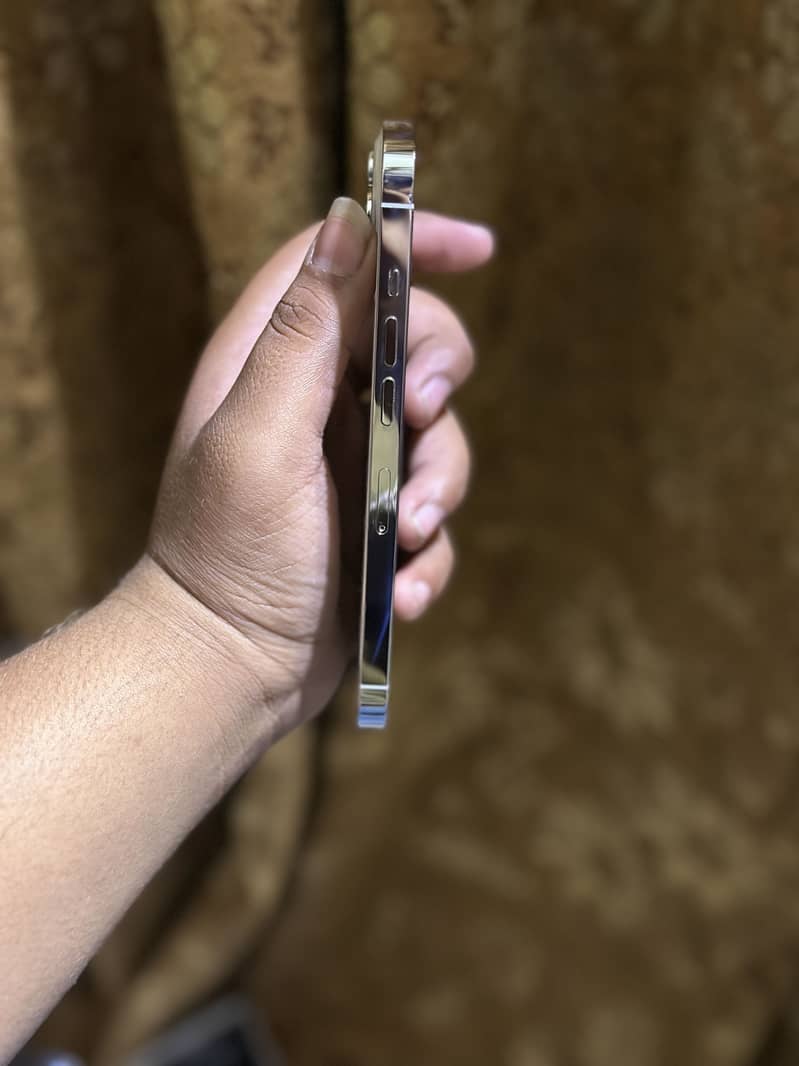 Apple iPhone 13 Pro 4