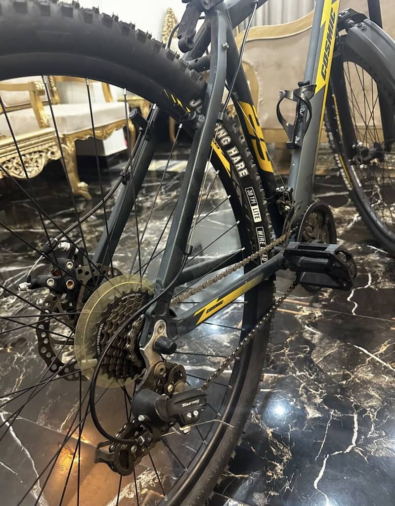 Cosmic bicycle 1