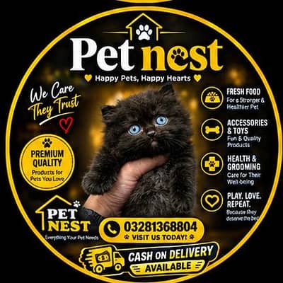 cash on delivery available Persian punch face cat kitten