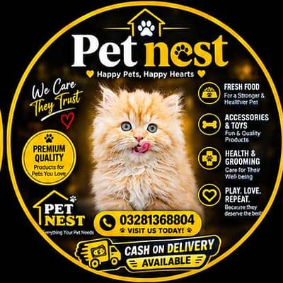 cash on delivery available Persian punch face cat kitten