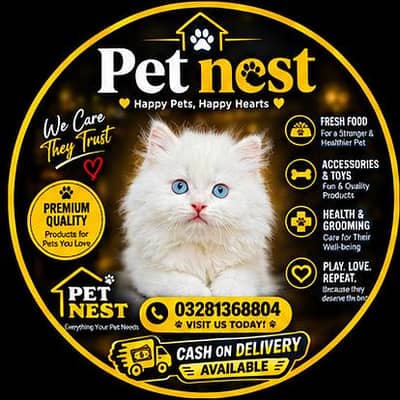 cash on delivery available Persian punch face cat kitten