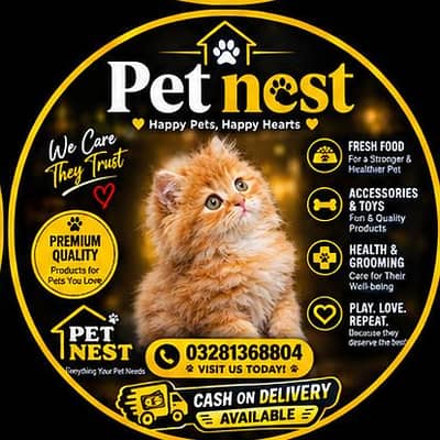 cash on delivery available Persian punch face cat kitten