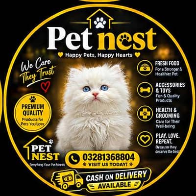 cash on delivery available Persian punch face cat kitten