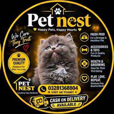 cash on delivery available Persian punch face cat kitten