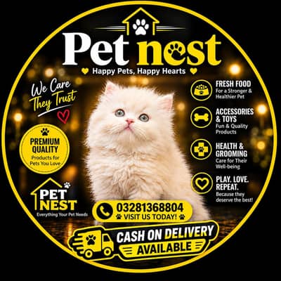 cash on delivery available Persian punch face cat kitten