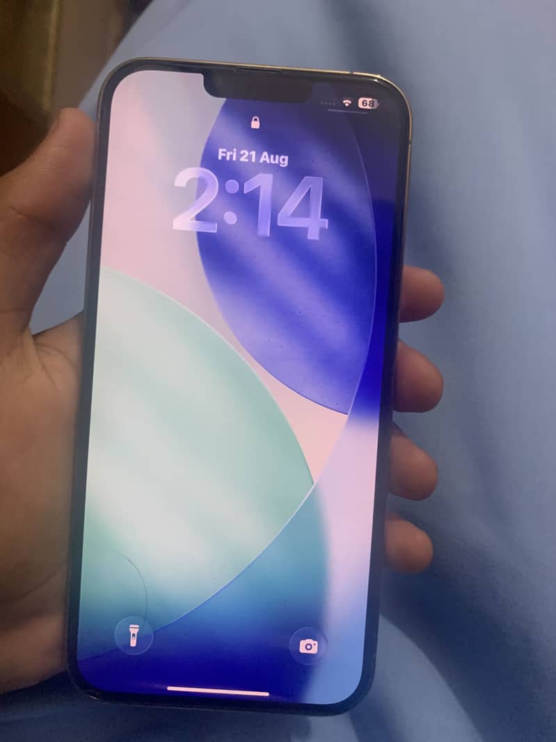 Apple iPhone 13 Pro Max 1