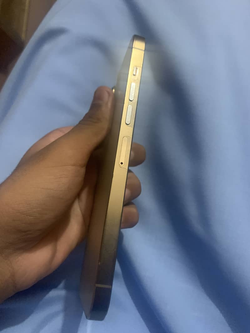 Apple iPhone 13 Pro Max 2