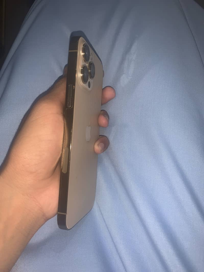 Apple iPhone 13 Pro Max 4