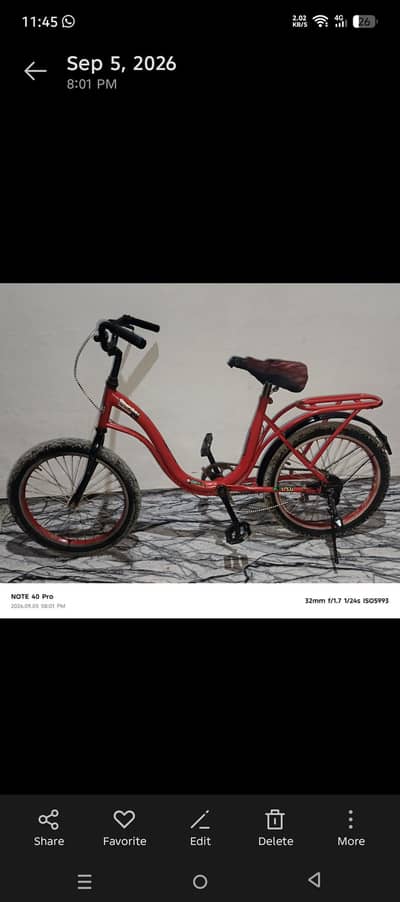 japanese cycle