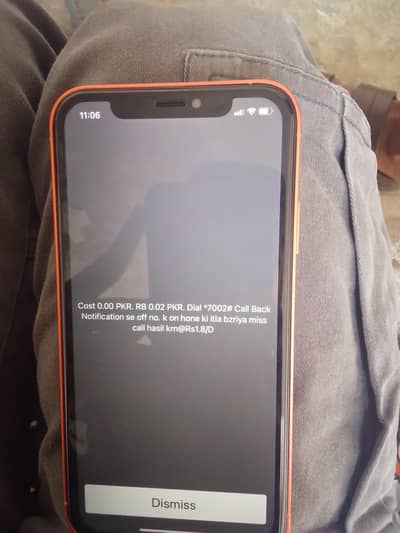 Apple iPhone XR convert 17pro max excited