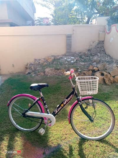 Bicycle for girls size 22"