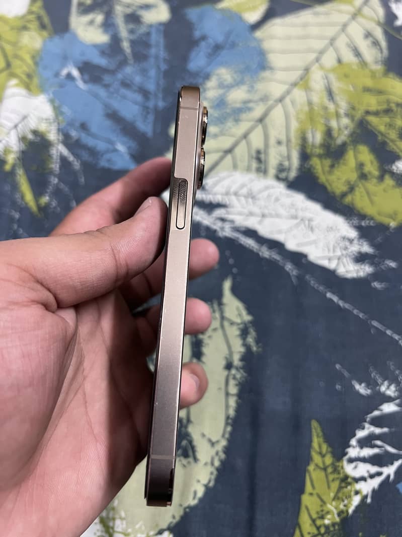 Apple iPhone 13 Pro 1