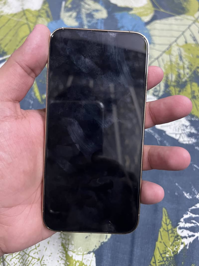 Apple iPhone 13 Pro 3