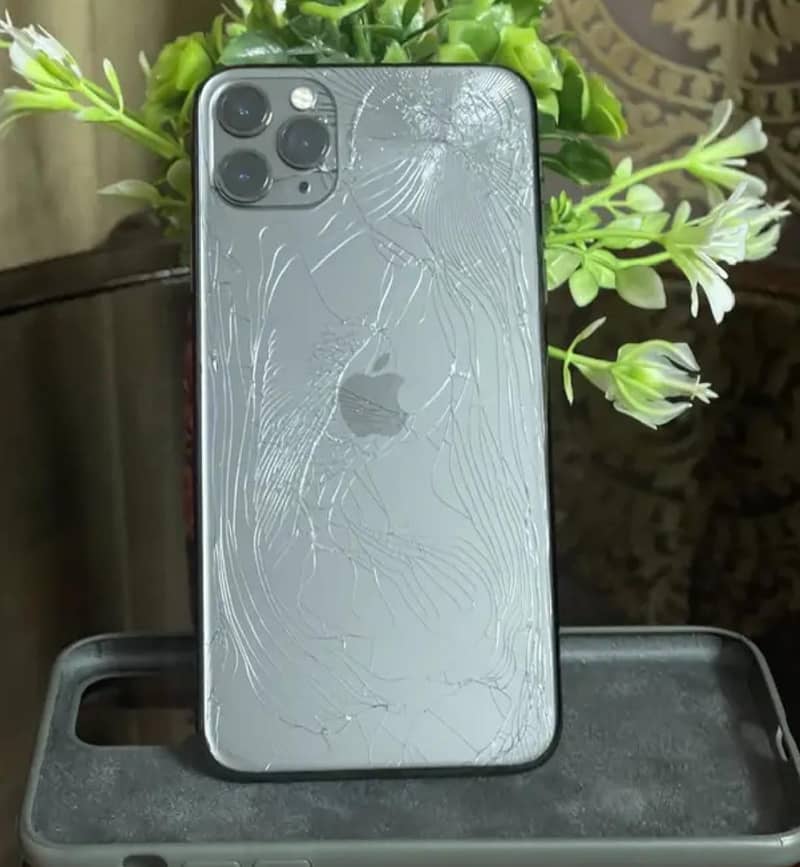 Apple iPhone 11 Pro Max 0