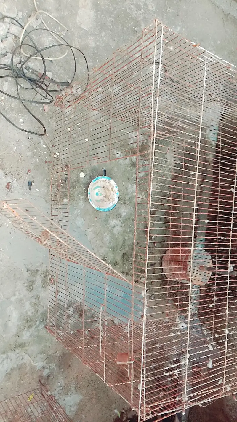 3 cages 3 boxes