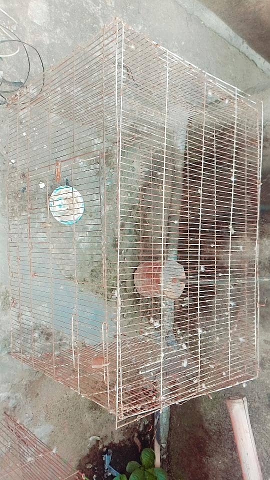 3 cages 3 boxes 3