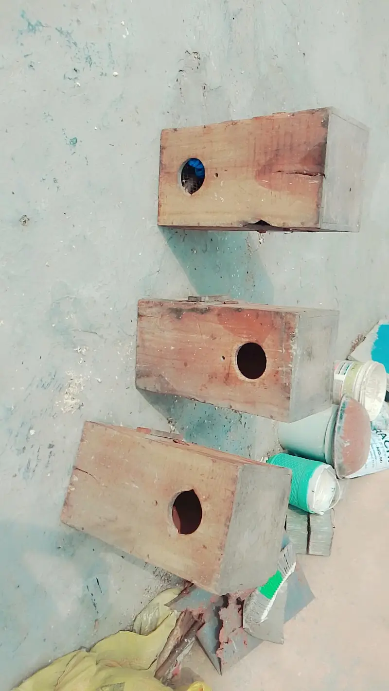 3 cages 3 boxes — photo 5