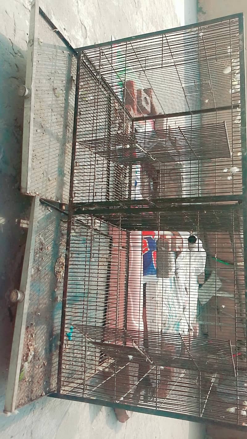 3 cages 3 boxes 5