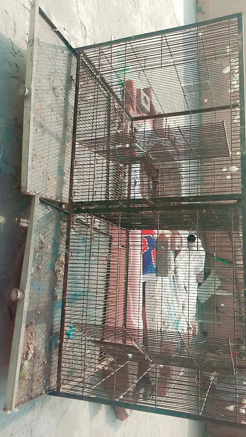 3 cages 3 boxes — photo 6