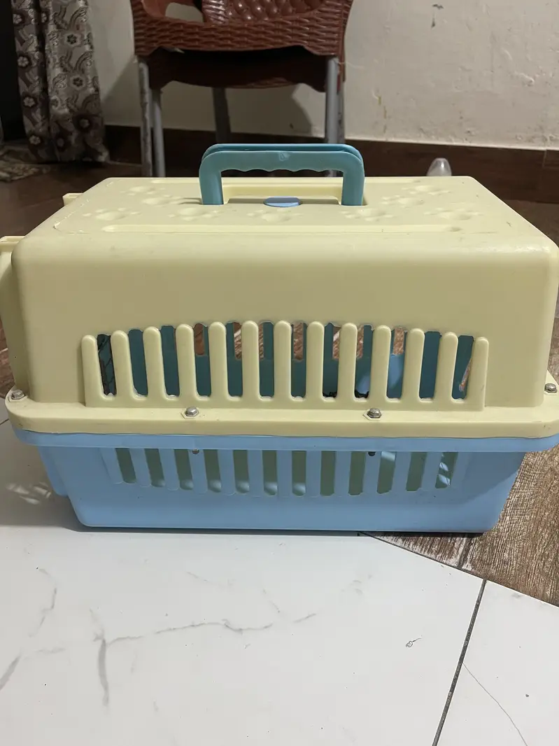 Cat accessories — photo 2