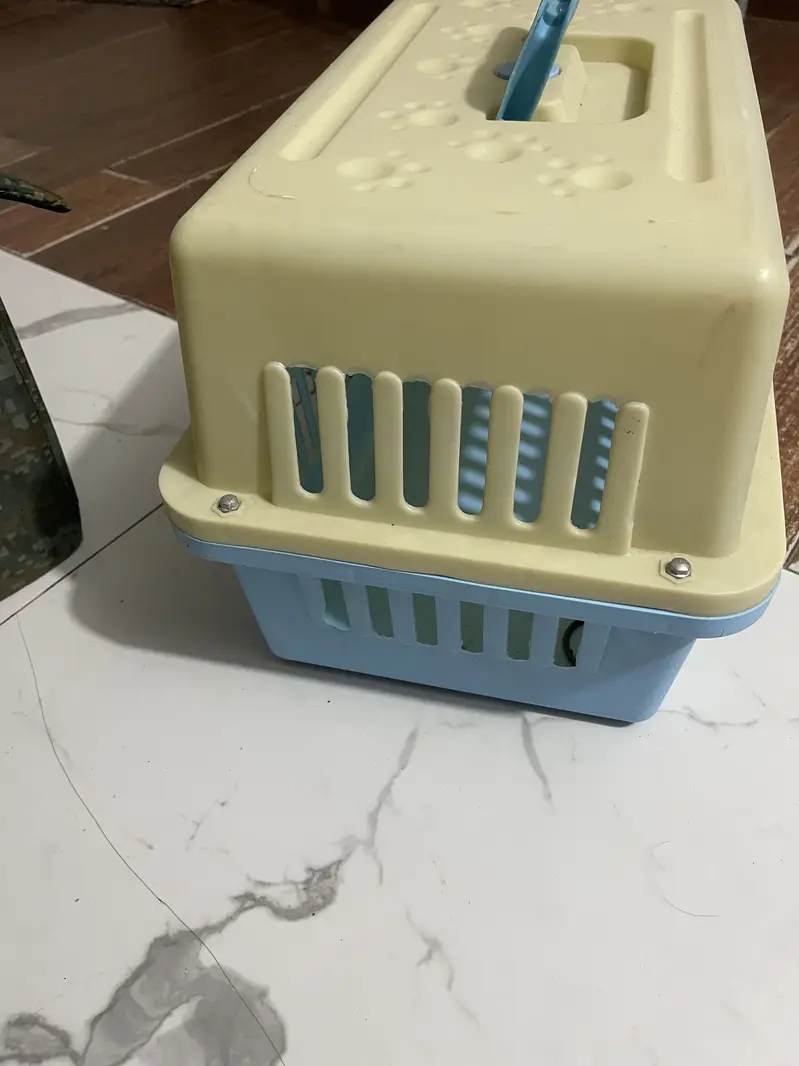 Cat accessories — photo 4