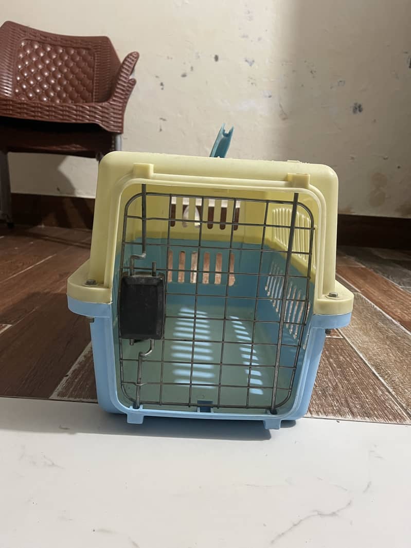 Cat accessories 8