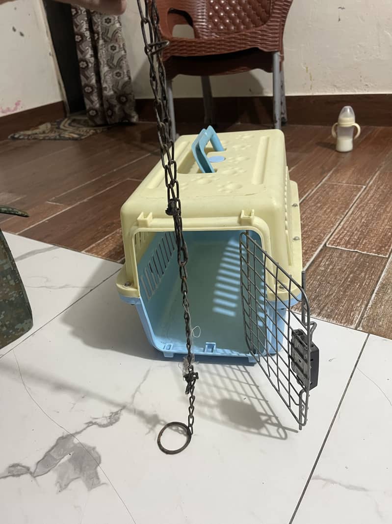 Cat accessories 9