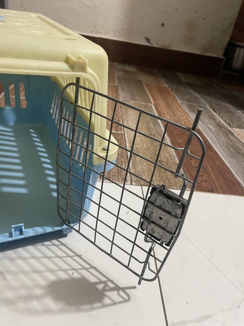 Cat accessories 10