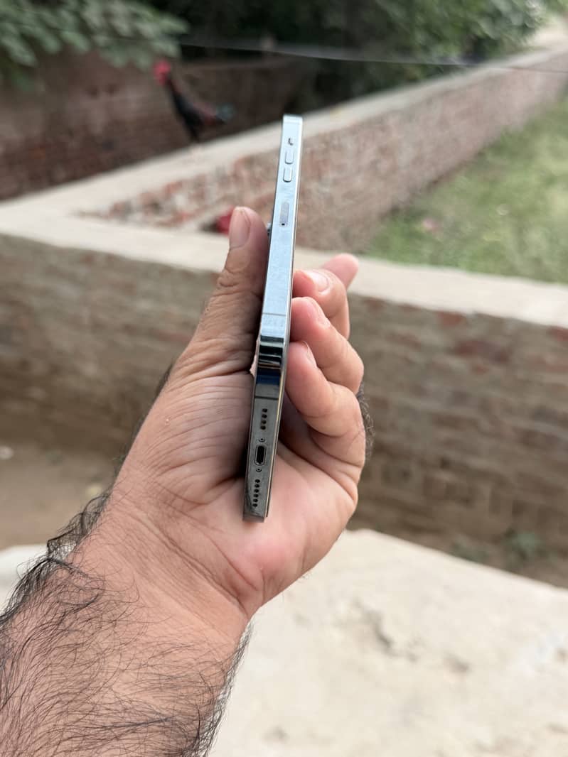 Apple iPhone 12 Pro Max 1
