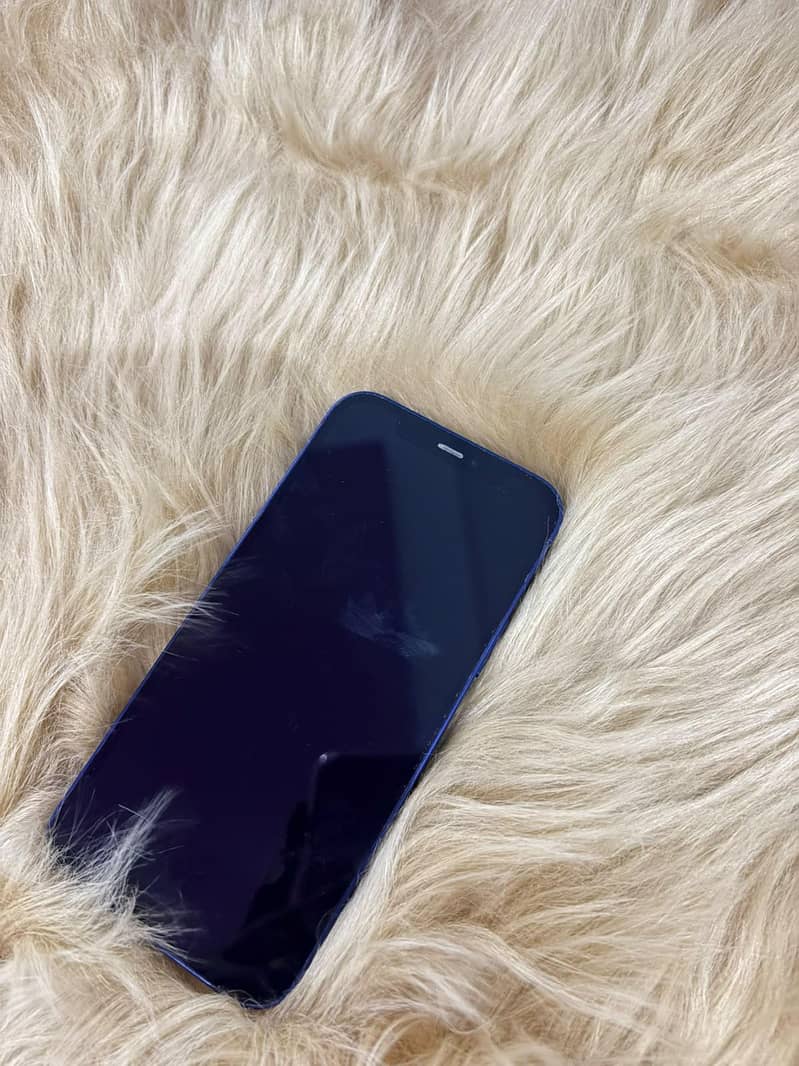 Apple iPhone 12 1