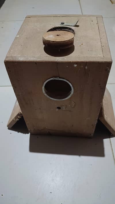 Love Birds Parrots Breeding Box Kikar Wood