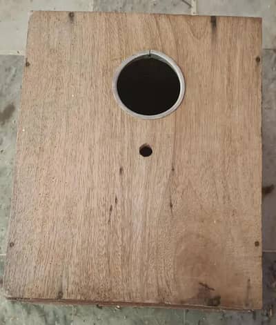 Love Birds Parrots Breading Box Kikar Wood