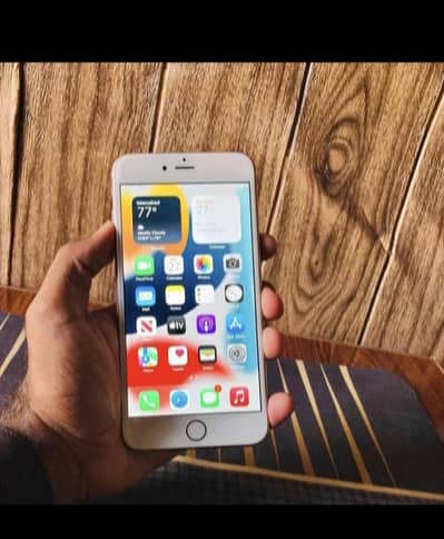 iPhone 6s PTA Approved 64GB Jo Colour Chahye Mill Jaega ‎ ‎