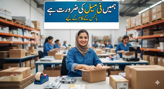Box making kilye Female ki zarort hai