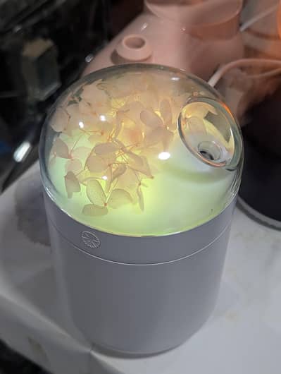 Air humidifier